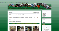 Desktop Screenshot of galeria.polskilimerick.com.pl